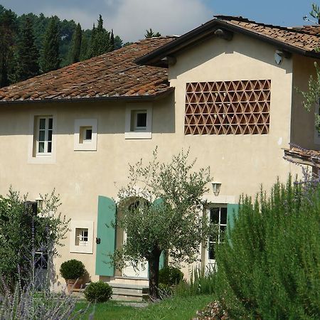 Willa Agriturismo Mareli Camaiore Zewnętrze zdjęcie