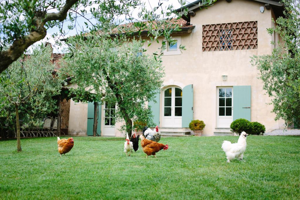 Willa Agriturismo Mareli Camaiore Zewnętrze zdjęcie